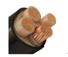 Unarmored Copper Power Cable 0 6 1kv