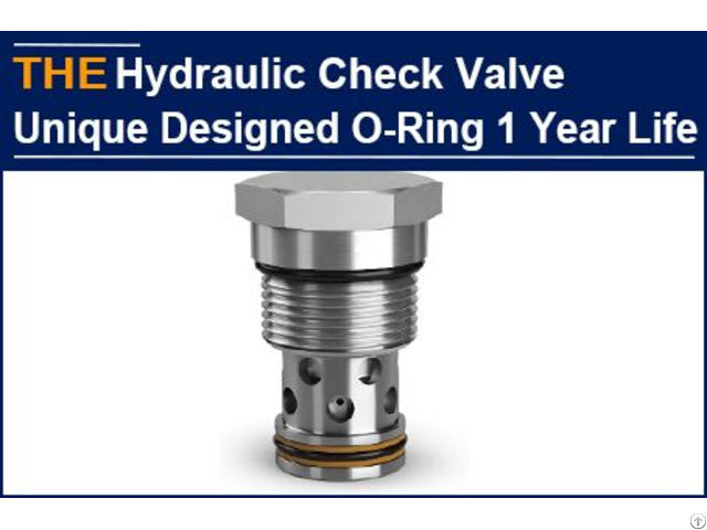 Hydraulic Check Valve Unique Designed O Ring 1 Year Life