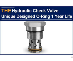Hydraulic Check Valve Unique Designed O Ring 1 Year Life
