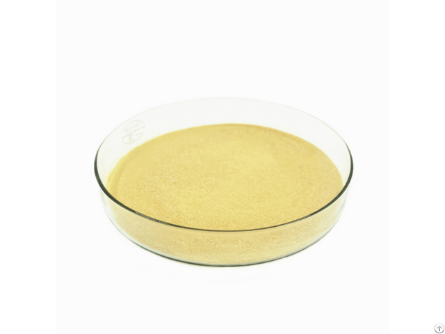 Fungal Alpha Amylase Powder Form