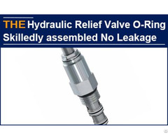 Hydraulic Relief Valve O Ring Skilledly Assembled Without Leakage