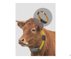 Lora Gps Cattle Tracker