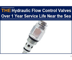 Hydraulic Flow Control Valves Over 1 Year Service Life Near The Sea