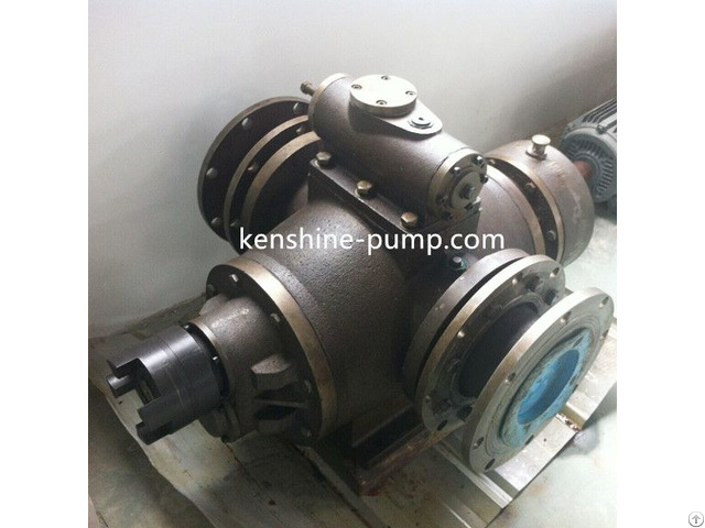 Horizontal External Bearing Twin Screw Pump