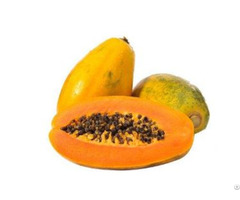 Papaya Powder Cariea Extract