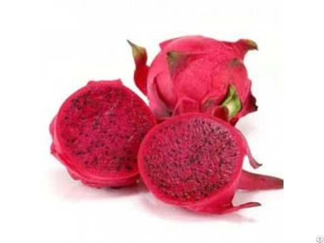 Dragon Fruit Powder Extract