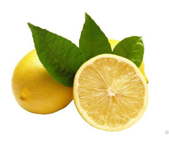 Lemon Friut Powder