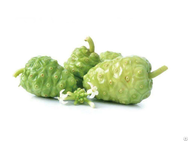 Noni Fruit Powder