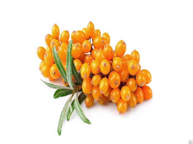 Seabuckthorn Juice Powder