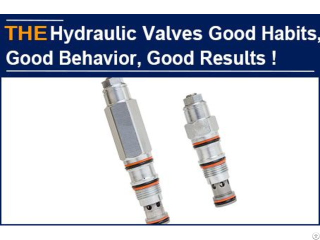 Hydraulic Valves Good Habits Behavior Results