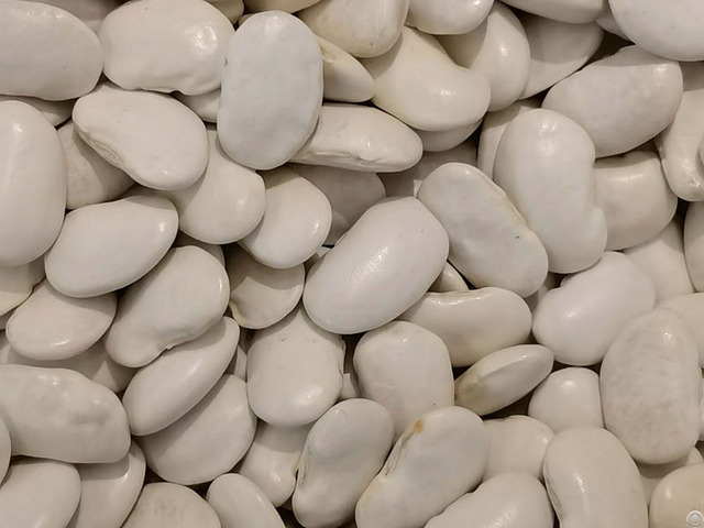 White Kidney Bean Extract 3000u G