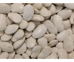 White Kidney Bean Extract 3000u G