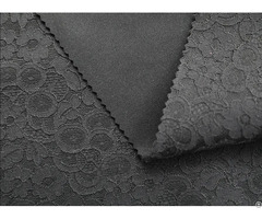 Jnfz042 Lace Composite Fabric
