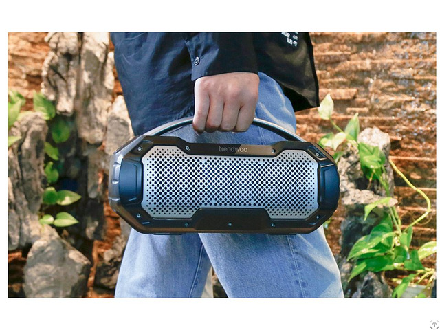 Titan L Outdoor Speaker