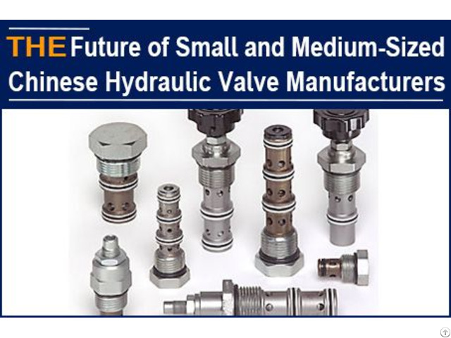 The Future Of Small And Medium Sized Chinese Hydraulic Valve Manufacturers