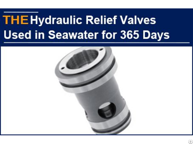 Hydraulic Relief Valves Used In Seawater For 365 Days