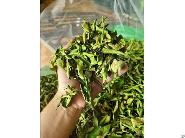 Dried Lemon Leaves Viet Nam