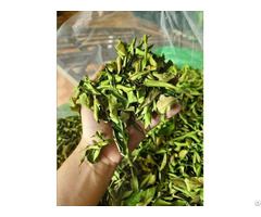 Dried Lemon Leaves Viet Nam