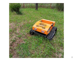 Remote Control Lawn Mower China Manufacturer