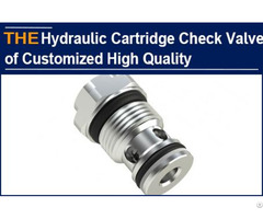 Hydraulic Cartridge Check Valves Of High Quality
