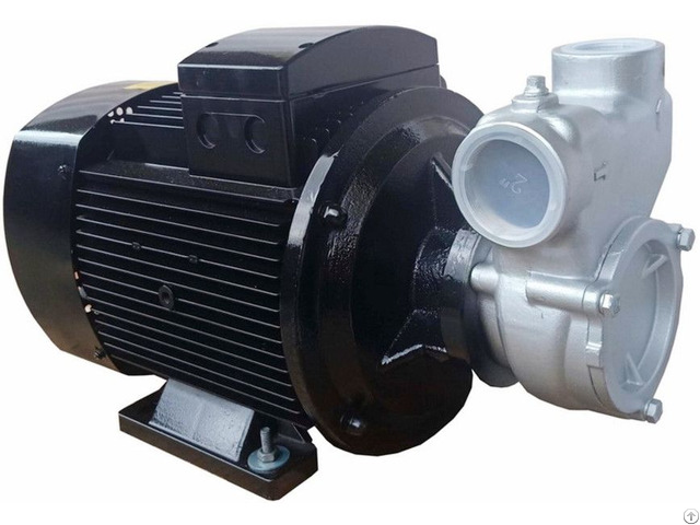 Self Priming Gas Liquid Vortex Pump