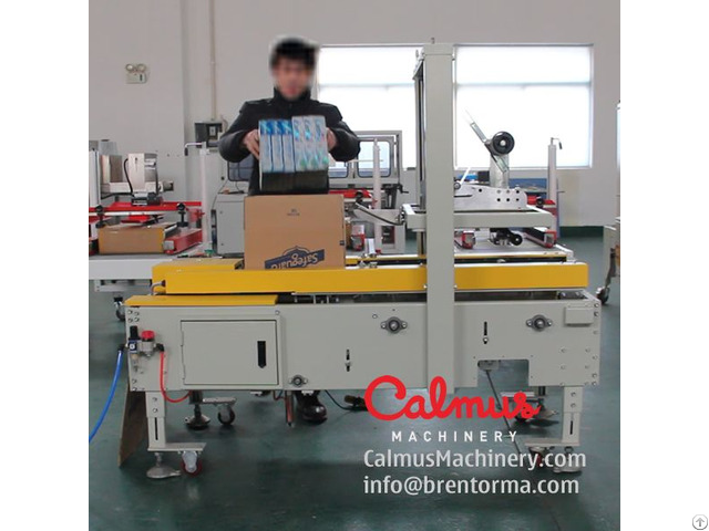 Carton Forming Sealing Machine Cartoning Station