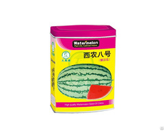 Medium Mature Large Fruit Watermelon