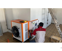 Tsix 300kg Sea Buckthorn Berry Drying Machine Dphg030s G