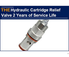 Hydraulic Cartridge Relief Valve 2 Years Of Service Life
