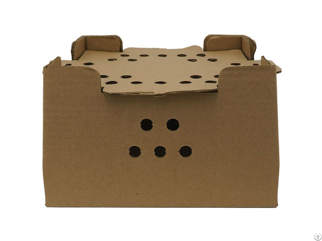 Chick Shipping Box For Sale