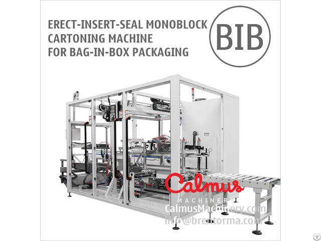 Form Insert Seal Monoblock Cartoning Machine For Bag In Box Packaging