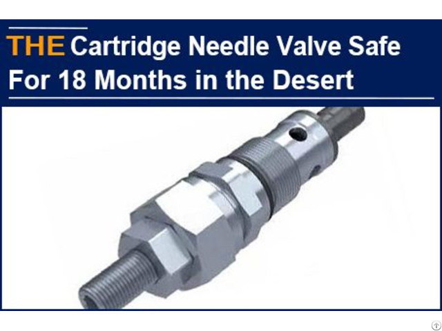 Cartridge Needle Valve Safe For 18 Months In The Desert