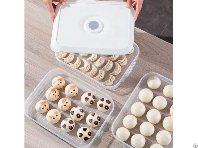 Dumpling Box With Lid Multi Layer Plastic