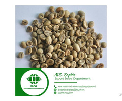 Green Cofffee Beans From Vietnam Supplier