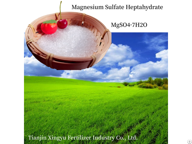 Magnesium Sulphate Heptahydrate 2 4mm Granular