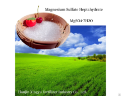 Magnesium Sulphate Heptahydrate 2 4mm Granular
