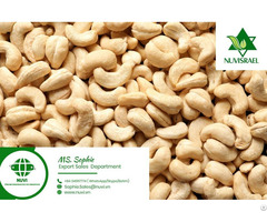 White Whole Cashew Nuts All Grades From Vietnam