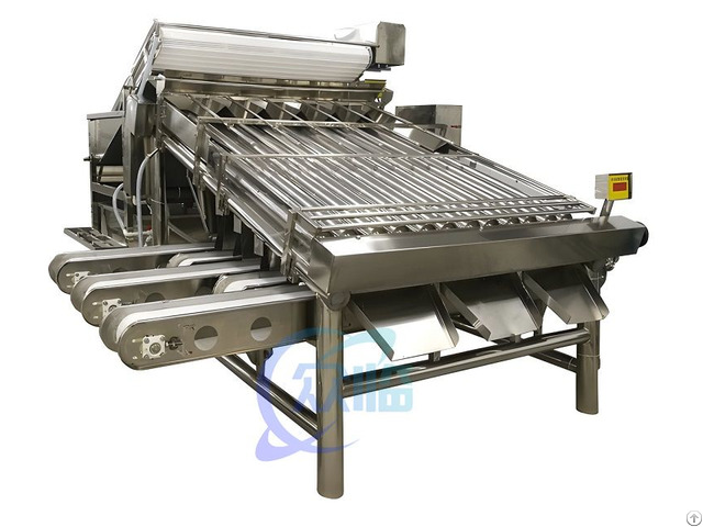 Shrimp Grading Machine With 12 Rollers