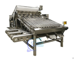 Shrimp Grading Machine With 12 Rollers