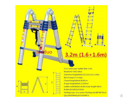 Blue 2 In 1 Telescopic Ladder