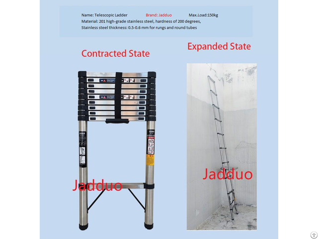 Stainless Steel Single Ladder