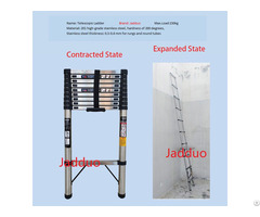 Stainless Steel Single Ladder