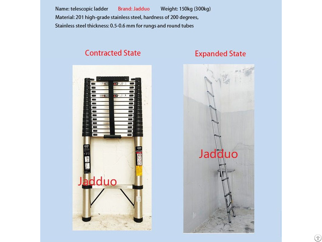 Stainless Steel Single Ladder With Anti Slip Cushion