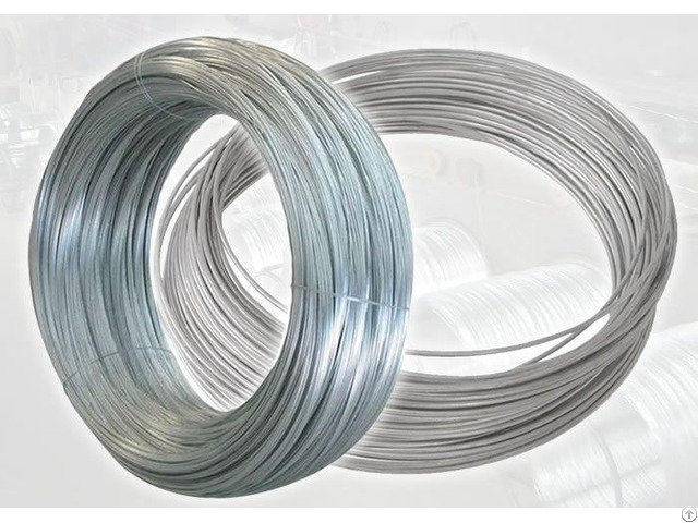 Electro Galvanized Wire 0 8mm Morocco Export Quality