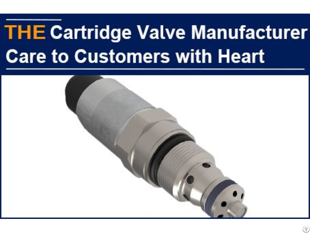 Cartridge Valve Manufacturer Care To Customers With Heart