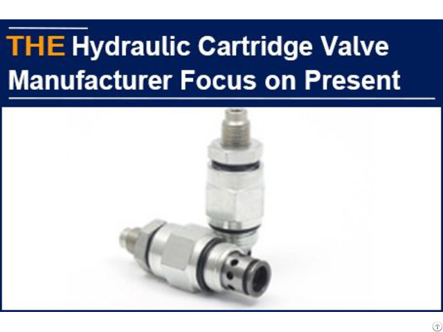 Hydraulic Cartridge Valve Manufacturer Focus On Present