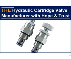Hydraulic Cartridge Valve Manufacturer With Hope And Trust