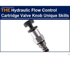 Flow Control Cartridge Valve Knob Unique Skills