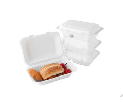 Biodegradable Container Food Takeaway Packaging Sugarcane Bagasse Pulp Paper Lunch Box