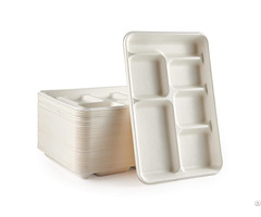 Eco Friendly Bagasse Disposable School Lunch Trays